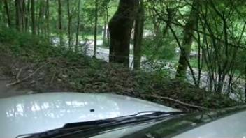 Young woman diarrheal defecating on pale automobile hood