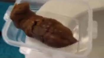 Homemade clip: Defecating girl 2